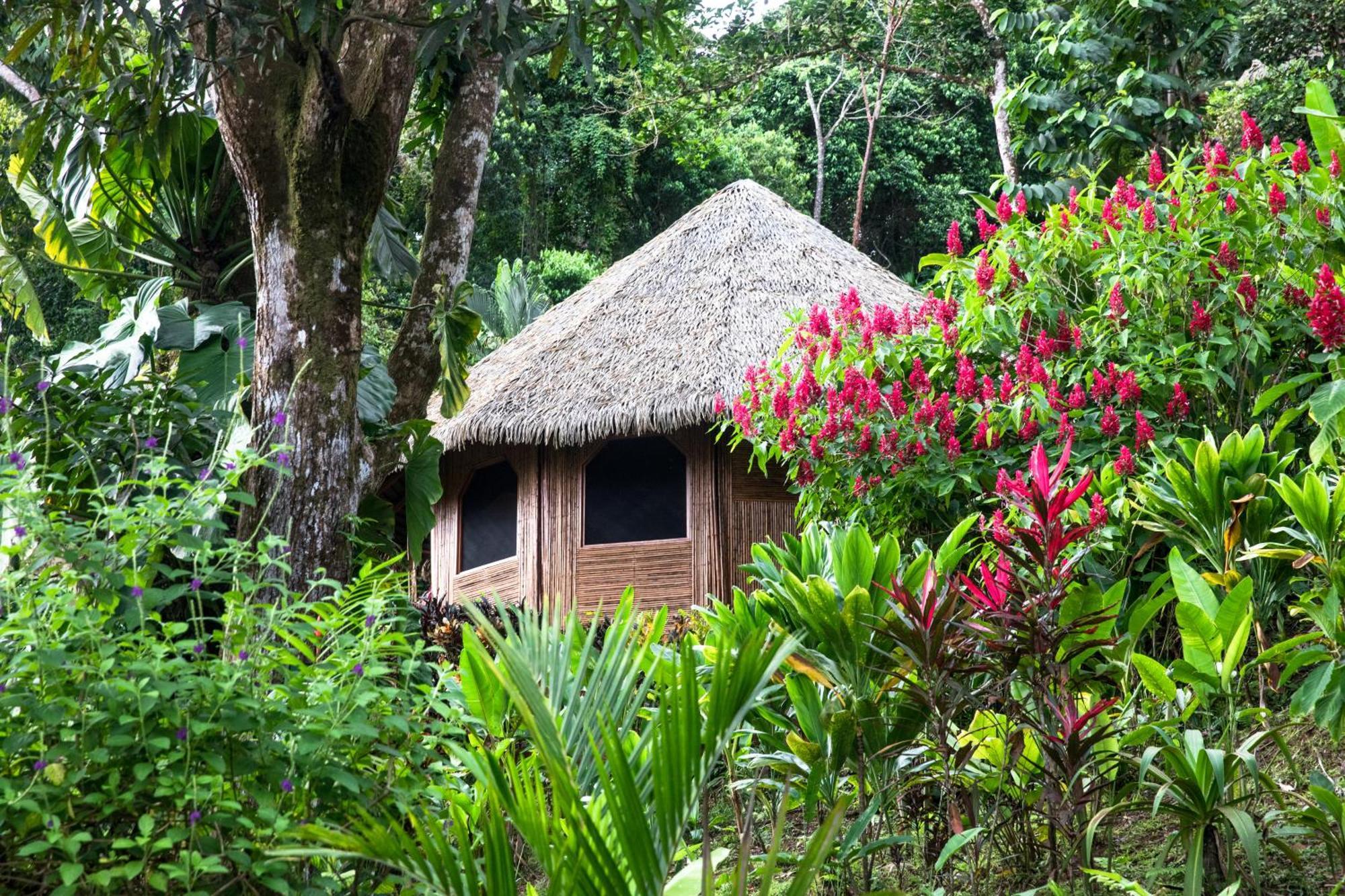 Luna Lodge Carate Exterior foto