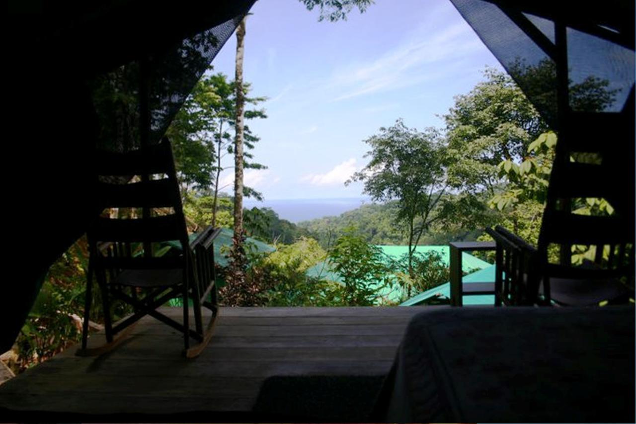 Luna Lodge Carate Quarto foto