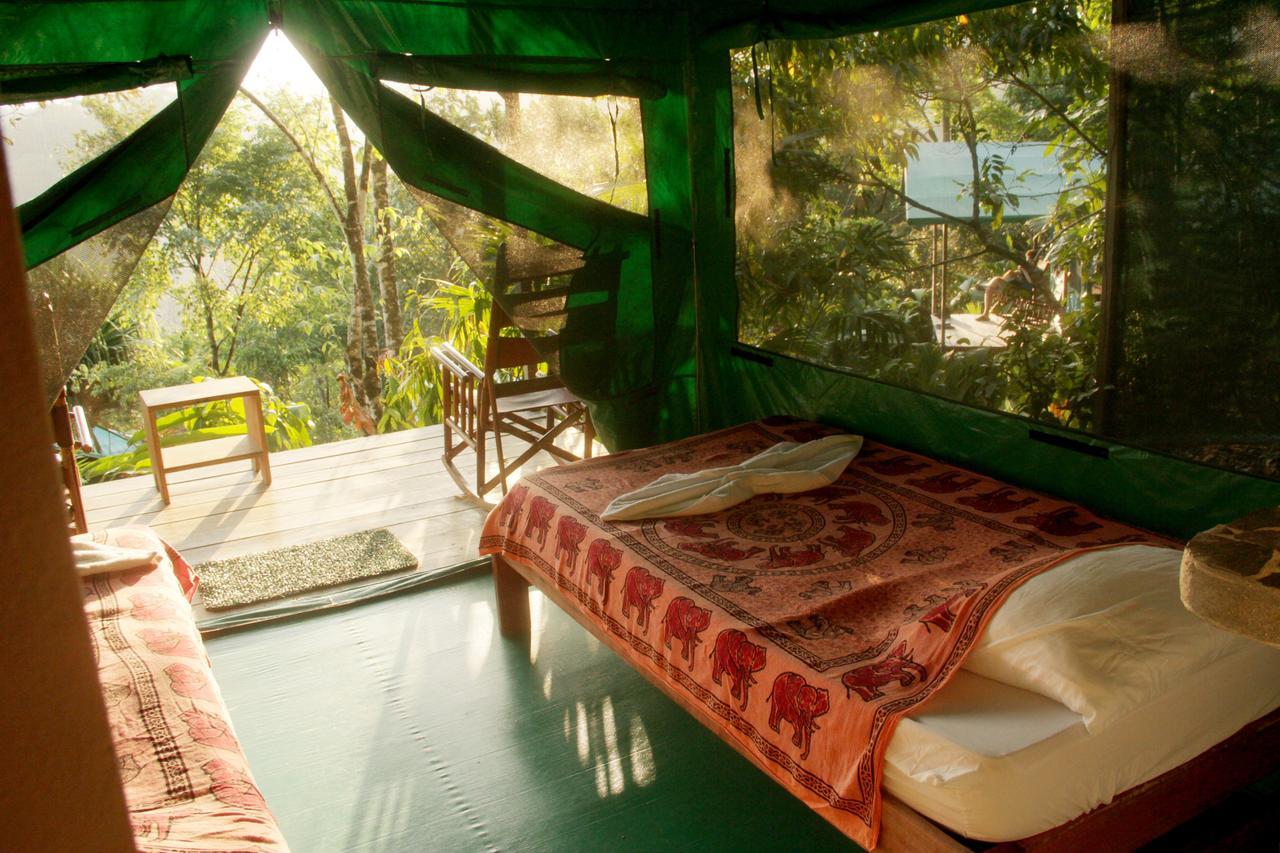 Luna Lodge Carate Quarto foto